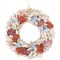 Northlight Artificial Seashells Wooden Wreath - 13&#x22; - White